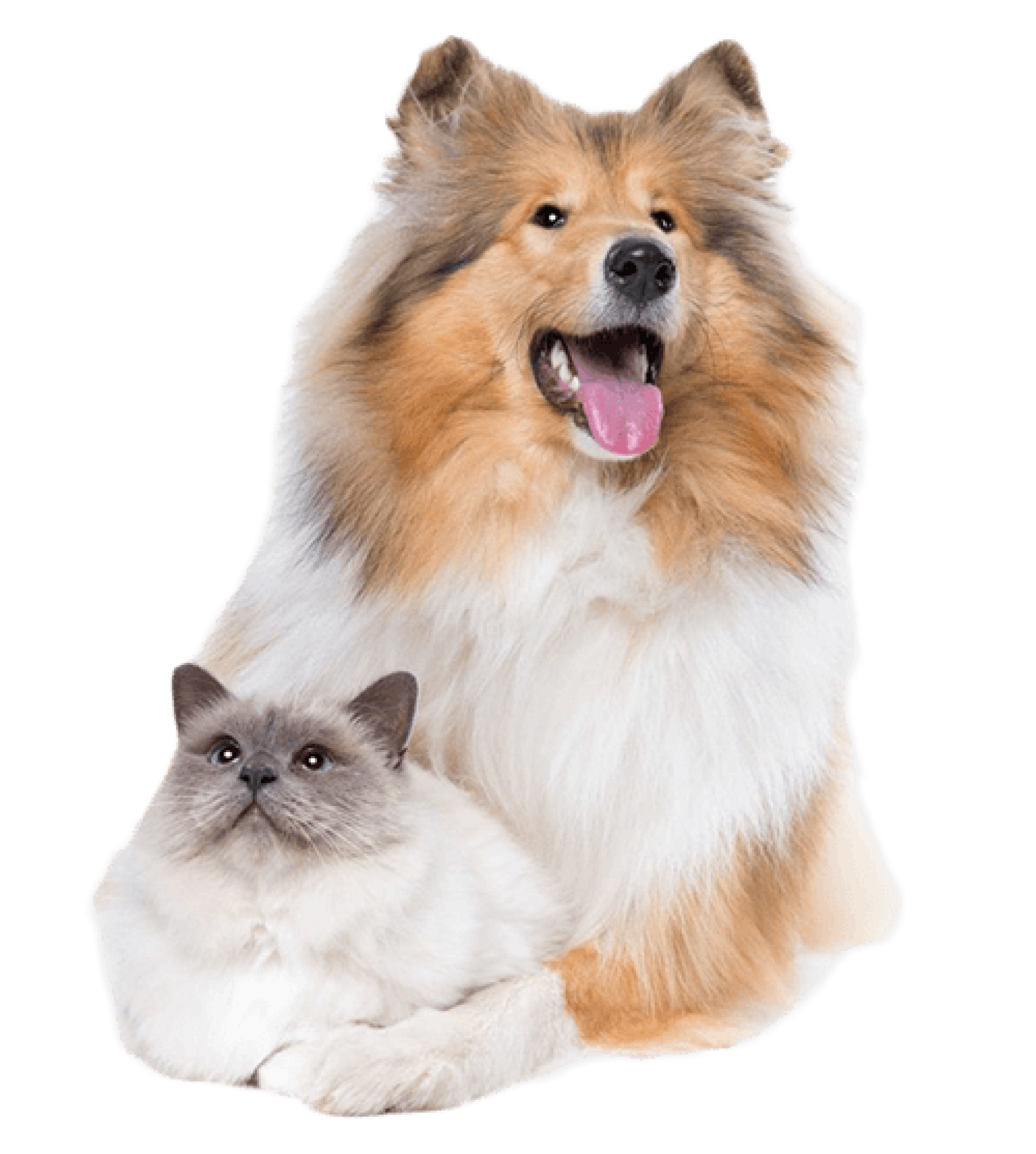 J&W Pet